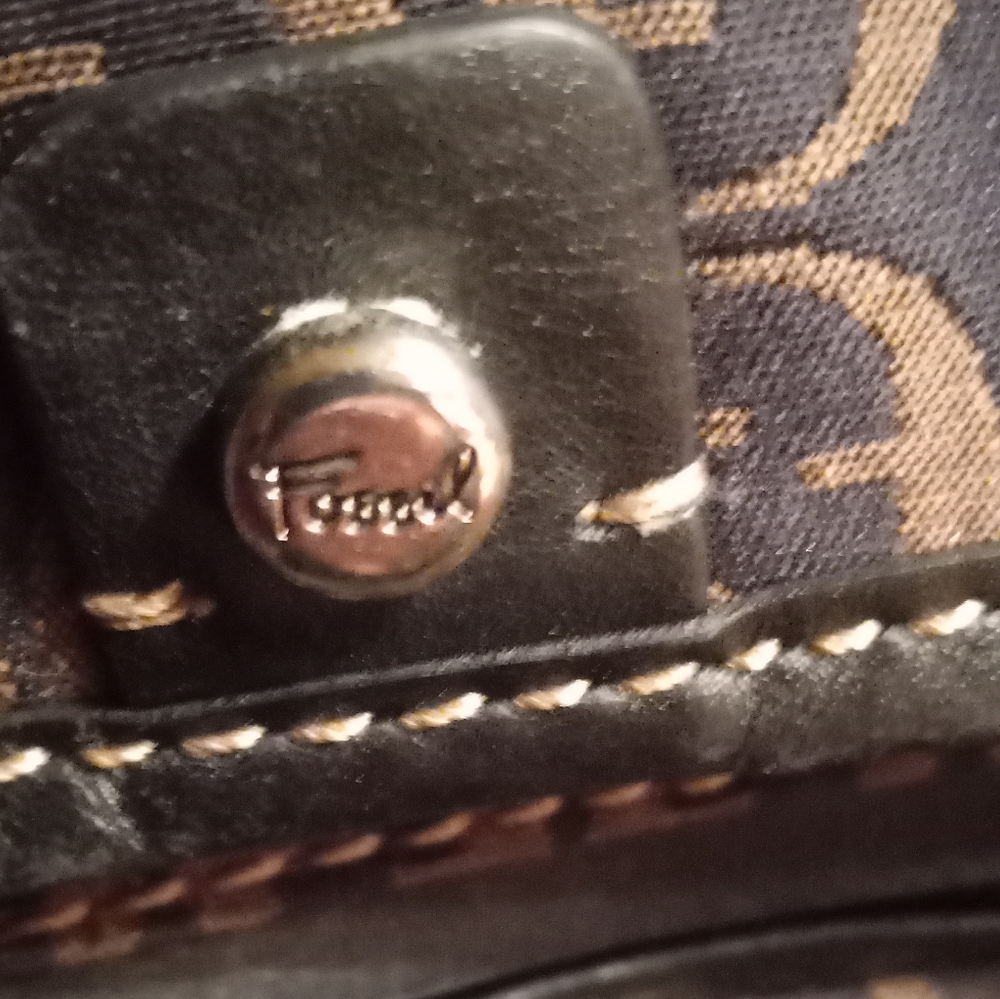 Vintage  fossil